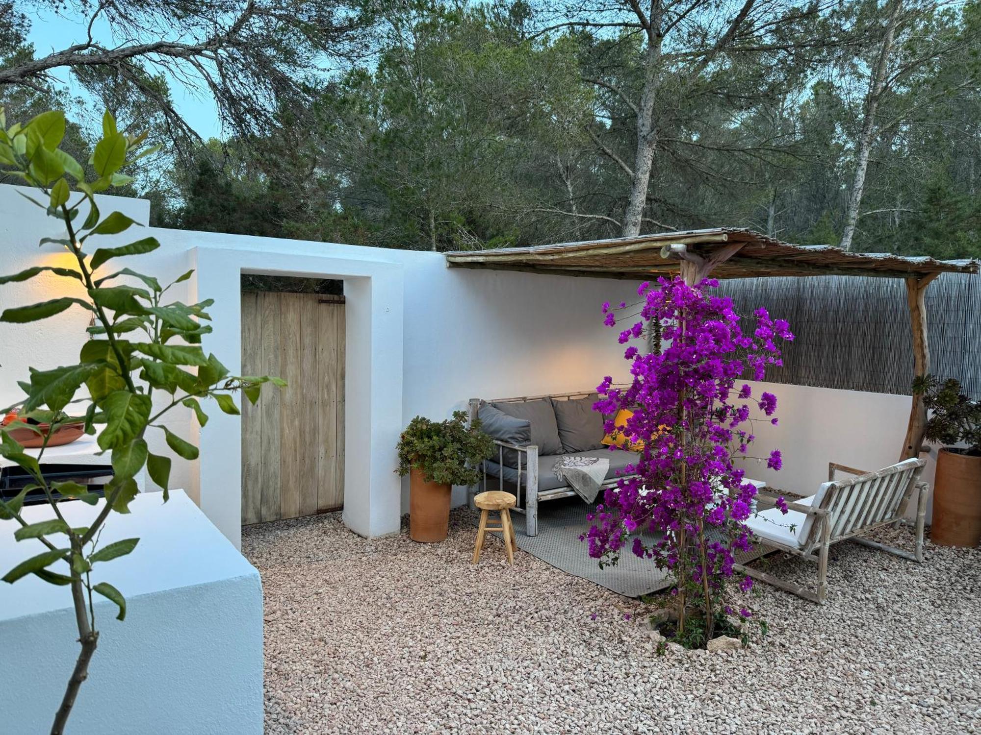 Feliz Lagartija Villa Cala Saona Exterior foto